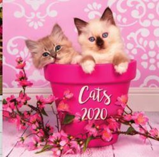 Cats Lemeznaptr - 2025