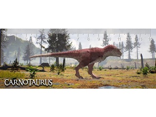 Mc935 - Carnotaurus Deep