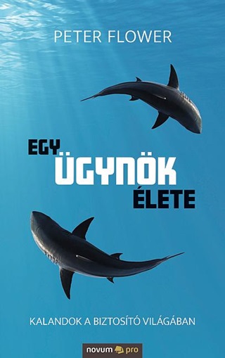 Egy gynk lete, Kalandok A Biztost Vilgban