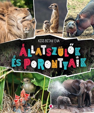 llatszlk s Porontyaik