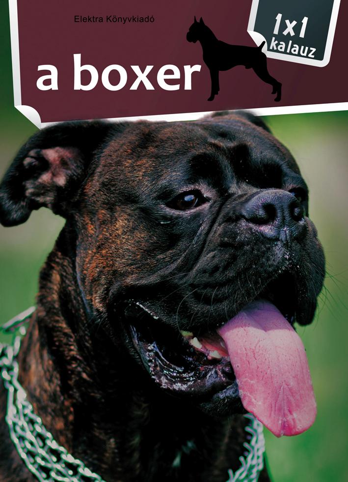 - - A Boxer - 1x1 Kalauz