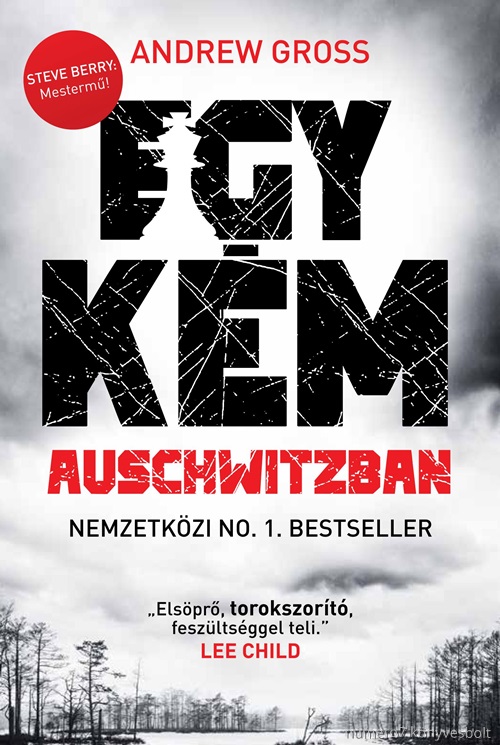 Egy Km Auschwitzban