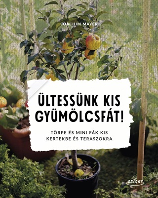 ltessnk Kis Gymlcsft! - Trpe s Mini Fk Kis Kertekbe s Teraszokra