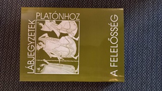 Lbjegyzetek Platnhoz - A Felelssg