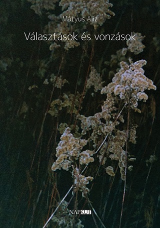 Vlasztsok s Vonzsok