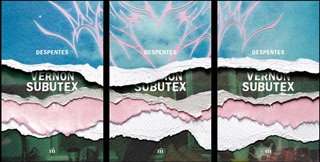 Vernon Subutex I-Ii-Iii