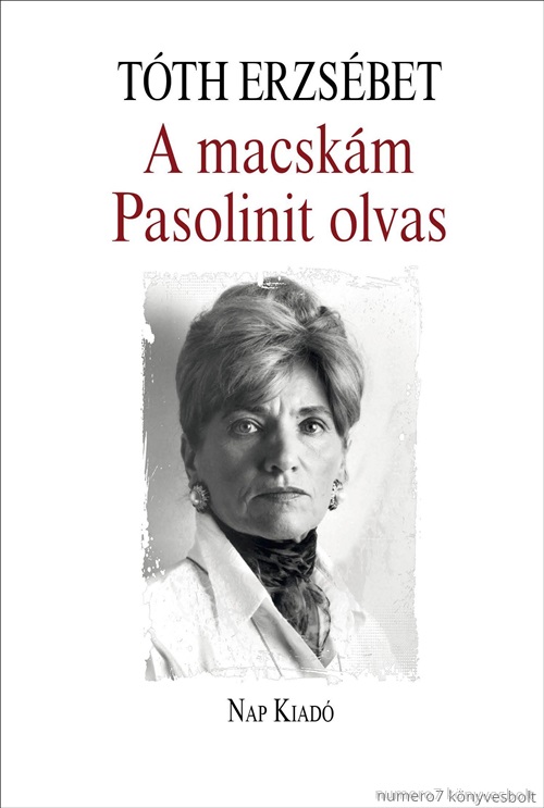 A Macskm Pasolinit Olvas