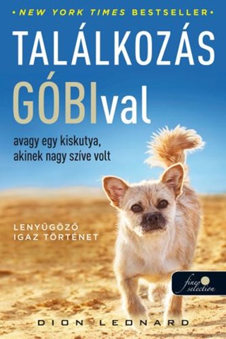 Tallkozs Gbival, Avagy Egy Kiskutya, Akinek Nagy Szve Volt