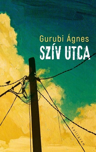 Szv Utca - Fztt