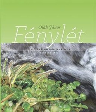 Fnylt