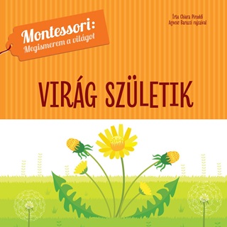 Chiara Piroddi - Virg Szletik - Montessori: Megismerem A Vilgot