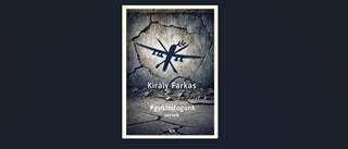 Kirly Farkas - Gyznifogunk - Versek