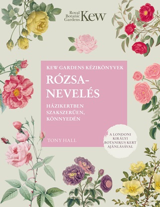 Rzsanevels Hzikertben Szakszeren, Knnyedn