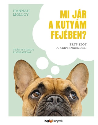 Mi Jr A Kutym Fejben? - rts Szt A Kedvenceddel!
