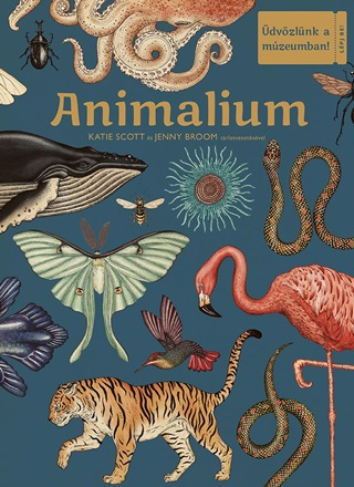 Animalium - dvzlnk A Mzeumban!