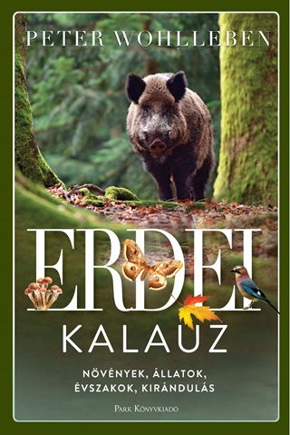 Erdei Kalauz- Fztt